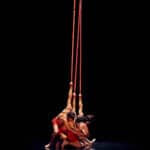 Charge Maximale de Rupture circusnext - European Circus Label © Joseph Banderet