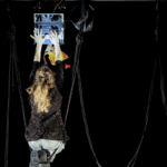 Farö Céleste circusnext - European Circus Label Faro-Celeste-©-Christophe-Raynaud-de-Lage-1.png